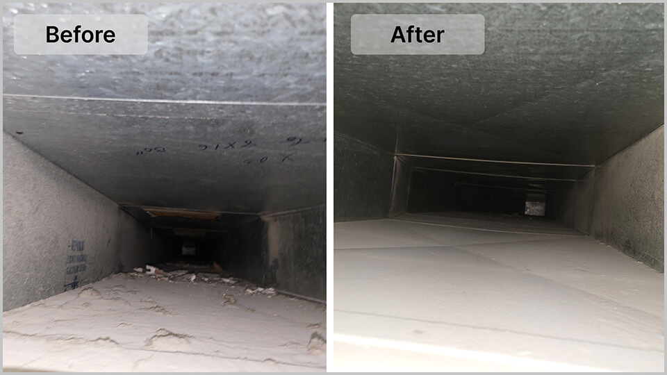 Common Air Duct Contaminants