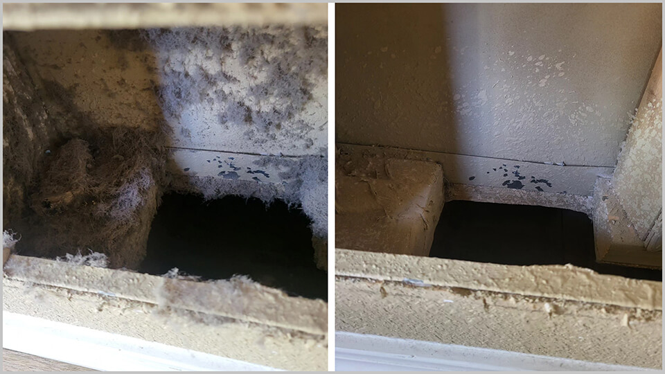 DIY vs. Professional Air Duct Cleaning